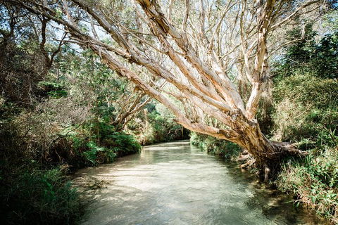 All-Inclusive 2-Day Fraser Island Tour - Tourism Guide 11