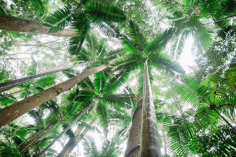All-Inclusive 2-Day Fraser Island Tour - Tourism Guide 8