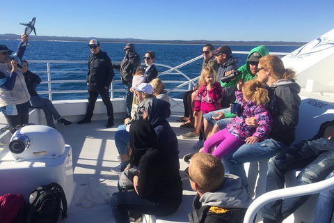 Hervey Bay Whale Watching Experience - Cruises Travel 10