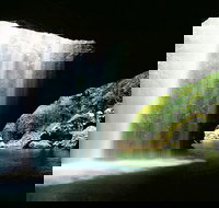 World Heritage Springbrook National Park Tour Including Natural Bridge - Travel Search