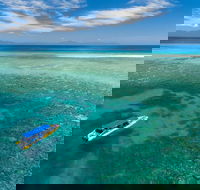 Ocean Safari Great Barrier Reef Experience in Cape Tribulation - Tourism Guide