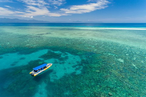 Ocean Safari Great Barrier Reef Experience In Cape Tribulation - Tourism Guide 0