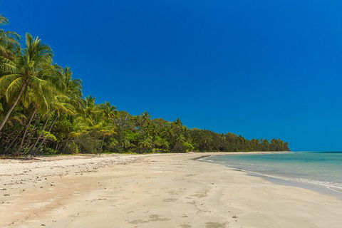 Ocean Safari Great Barrier Reef Experience In Cape Tribulation - Tourism Guide 3