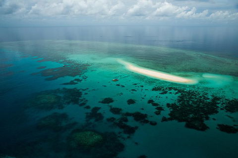 Ocean Safari Great Barrier Reef Experience In Cape Tribulation - Tourism Guide 16