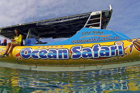 Ocean Safari Great Barrier Reef Experience In Cape Tribulation - Tourism Guide 8