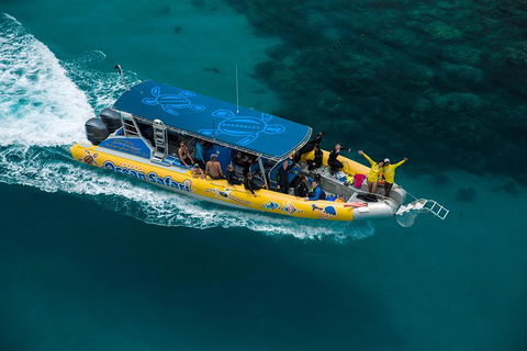 Ocean Safari Great Barrier Reef Experience In Cape Tribulation - Tourism Guide 9