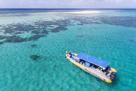Ocean Safari Great Barrier Reef Experience In Cape Tribulation - Tourism Guide 11