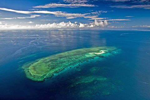 Ocean Safari Great Barrier Reef Experience In Cape Tribulation - Tourism Guide 15