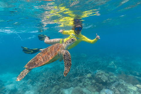 Ocean Safari Great Barrier Reef Experience In Cape Tribulation - Tourism Guide 14