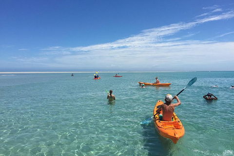 Fraser Island West Coast BBQ Lunch Cruise From Hervey Bay Including Kayaking And Swimming - Cruises Travel 9