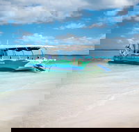 Great Sandy Marine Park Turtle Discovery and Cultural Eco Tour - Cruises Travel