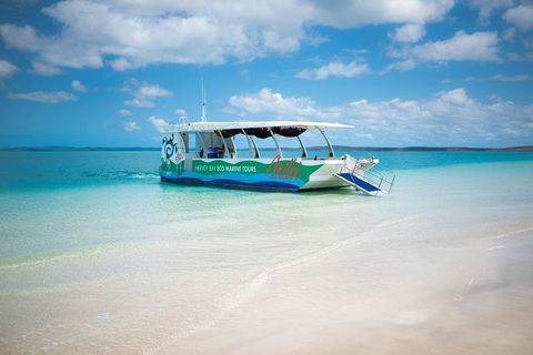 Great Sandy Marine Park Turtle Discovery And Cultural Eco Tour - Cruises Travel 0