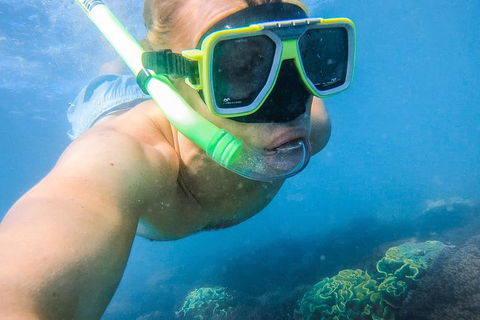 Great Sandy Marine Park Turtle Discovery And Cultural Eco Tour - Cruises Travel 2