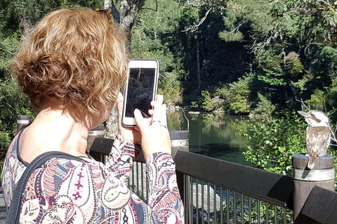 Personalised Private Platypus Land Tour - Cruises Travel 1