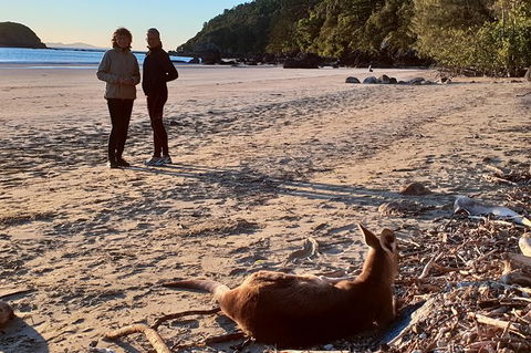 Personalised Private Platypus Land Tour - Cruises Travel 10
