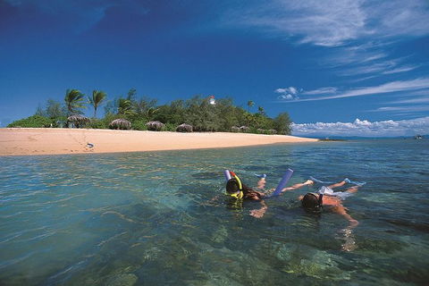 Mossman Gorge Dreamtime Walk And Low Isles Snorkeling And Sailing Cruise - Tourism Guide 1