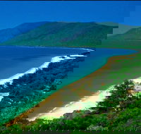 Cairns Reef and Rainforest Combo Daintree Rainforest and the Great Barrier Reef - Tourism Guide
