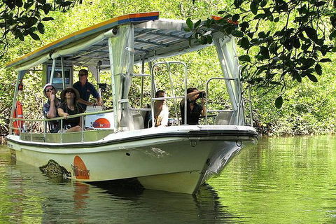Cairns Reef And Rainforest Combo: Daintree Rainforest And The Great Barrier Reef - Tourism Guide 5