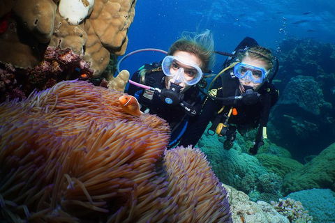 Quicksilver Dive 4 Day PADI Learn To Dive Course - Tourism Guide 0