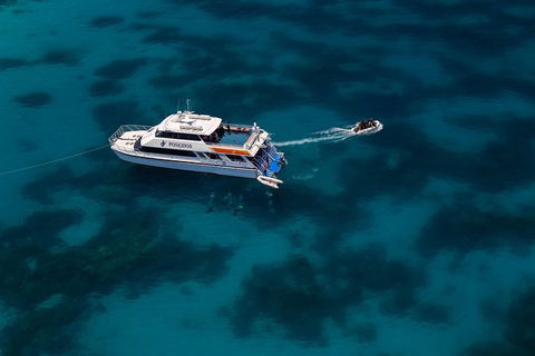 Quicksilver Dive 4 Day PADI Learn To Dive Course - Tourism Guide 5