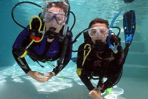 Quicksilver Dive 4 Day PADI Learn To Dive Course - Tourism Guide 7