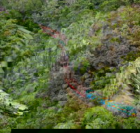 Kuranda Scenic Railway Day Trip from Port Douglas - Tourism Guide
