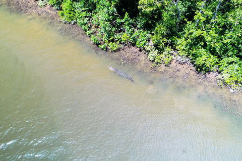 1-Hour Daintree River Wildlife Cruise - Tourism Guide 11