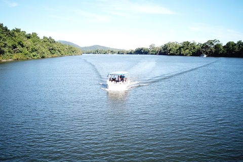 1-Hour Daintree River Wildlife Cruise - Tourism Guide 9