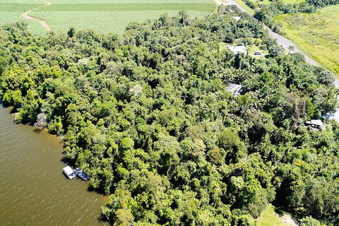 1-Hour Daintree River Wildlife Cruise - Tourism Guide 5