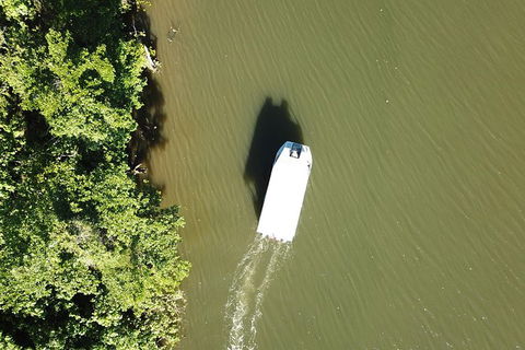 1-Hour Daintree River Wildlife Cruise - Tourism Guide 3