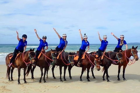 Rainbow Beach Horse Ride - Tourism Guide 4