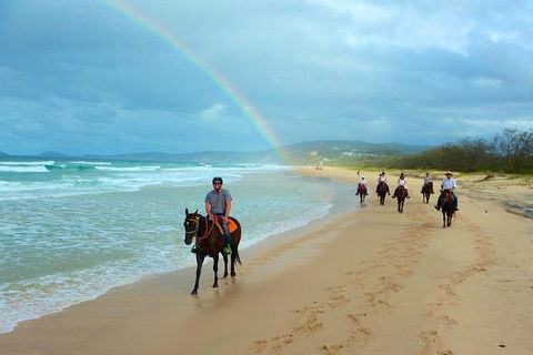 Rainbow Beach Horse Ride - Tourism Guide 1