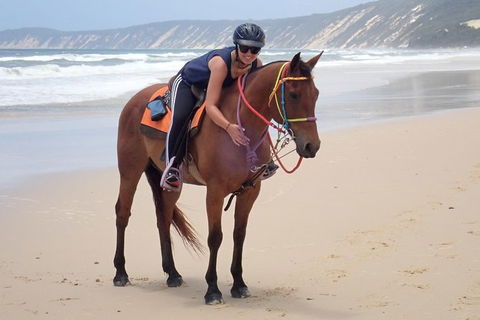 Rainbow Beach Horse Ride - Tourism Guide 2