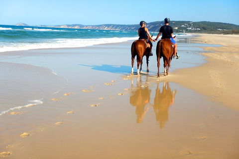 Rainbow Beach Horse Ride - Tourism Guide 3