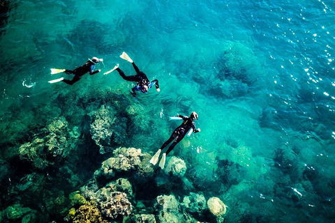 2-Night Whitsundays Sailing Adventure: Whitsunday Getaway - Tourism Guide 12