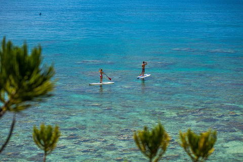 2-Night Whitsundays Sailing Adventure: Whitsunday Getaway - Tourism Guide 8