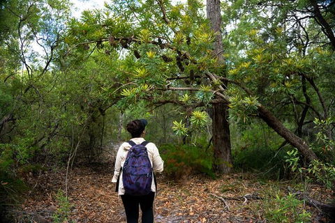 Pack-free Camping: Lake McKenzie Central Hike - 2 Days - Cruises Travel 1