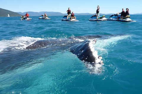 Whitsundays Jet Ski Tour - Tourism Guide 20