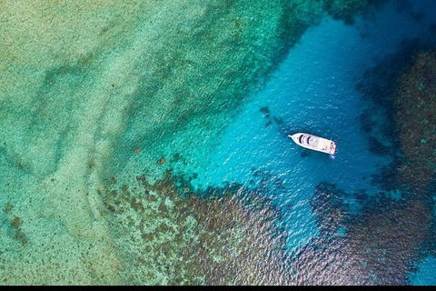 Great Barrier Reef Dive And Snorkel Cruise From Mission Beach - Cruises Travel 3