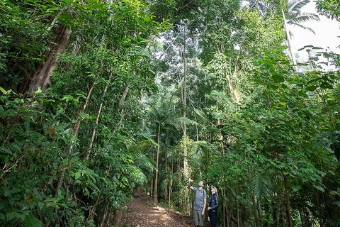 Whitsundays Tropical Rainforest, Waterfalls And Airlie Beach Eco Experience - Tourism Guide 1