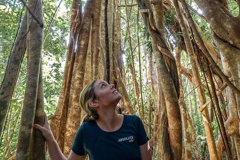 Whitsundays Tropical Rainforest, Waterfalls And Airlie Beach Eco Experience - Tourism Guide 14