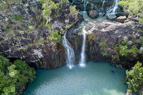 Whitsundays Tropical Rainforest, Waterfalls And Airlie Beach Eco Experience - Tourism Guide 13