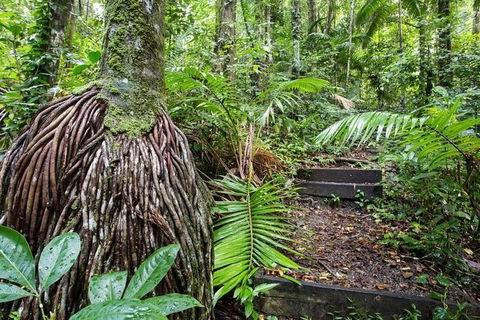 Whitsundays Tropical Rainforest, Waterfalls And Airlie Beach Eco Experience - Tourism Guide 7
