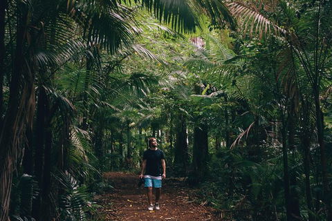 Whitsundays Tropical Rainforest, Waterfalls And Airlie Beach Eco Experience - Tourism Guide 5