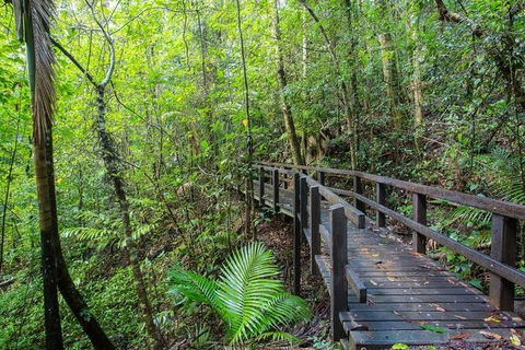Whitsundays Tropical Rainforest, Waterfalls And Airlie Beach Eco Experience - Tourism Guide 3