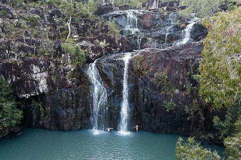 Whitsundays Tropical Rainforest, Waterfalls And Airlie Beach Eco Experience - Tourism Guide 9