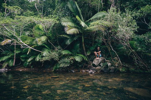 Whitsundays Tropical Rainforest, Waterfalls And Airlie Beach Eco Experience - Tourism Guide 2