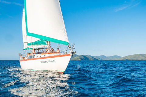 2-Day Whitsundays Sailing Adventure: Waltzing Matilda - Tourism Guide 0