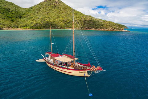 2-Day Whitsundays Sailing Adventure: Summertime - Tourism Guide 2