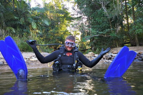 Rainforest Platypus Night Dive (Certified Divers Only Once Day Dive Completed) - Cruises Travel 10
